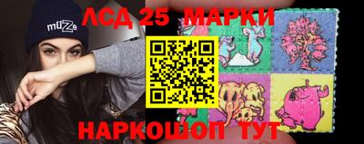 ПСИЛОЦИБИНОВЫЕ ГРИБЫ Гусев