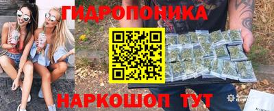 амф Гусь-Хрустальный