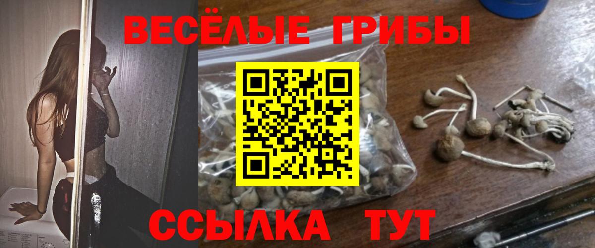 Псилоцибиновые грибы Cubensis  Псилоцибиновые грибы мицелий  Лесной  Вход с VPN 